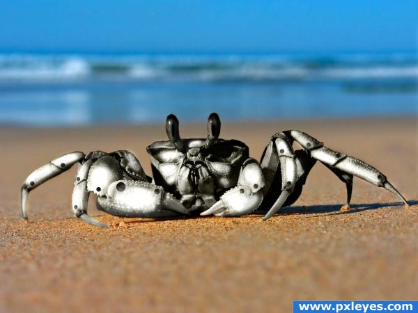 mecanic crab